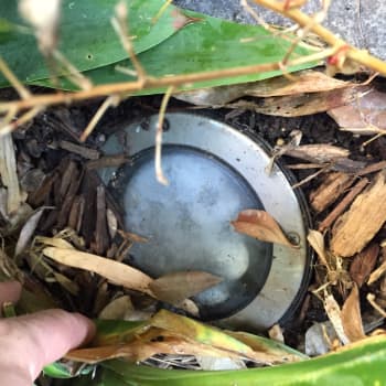 Outdoor light